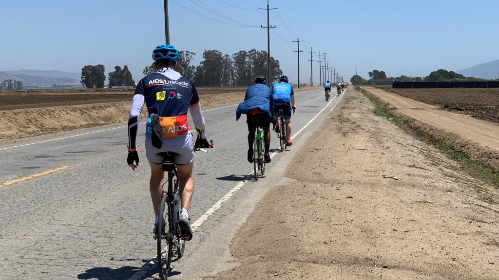 A line of cyclists riding along the edge of a road on a sunny day. The cyclist closest to the camera wears a jersey with the AIDS/LifeCycle word mark printed across the center back and END AIDS along the lower back.